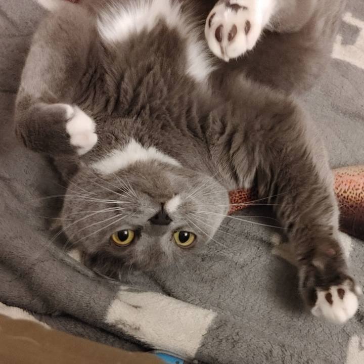 571a4050 5dff 4882 a49d a067f4c7d1c0 1616336184705