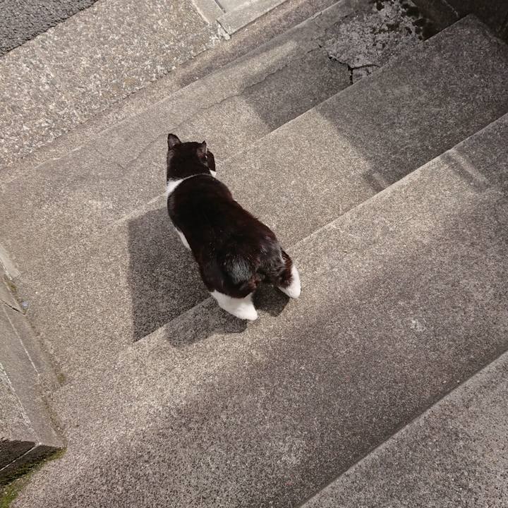 571a52c8 c6bb 4459 9458 2387094ffe9a 1648870398530