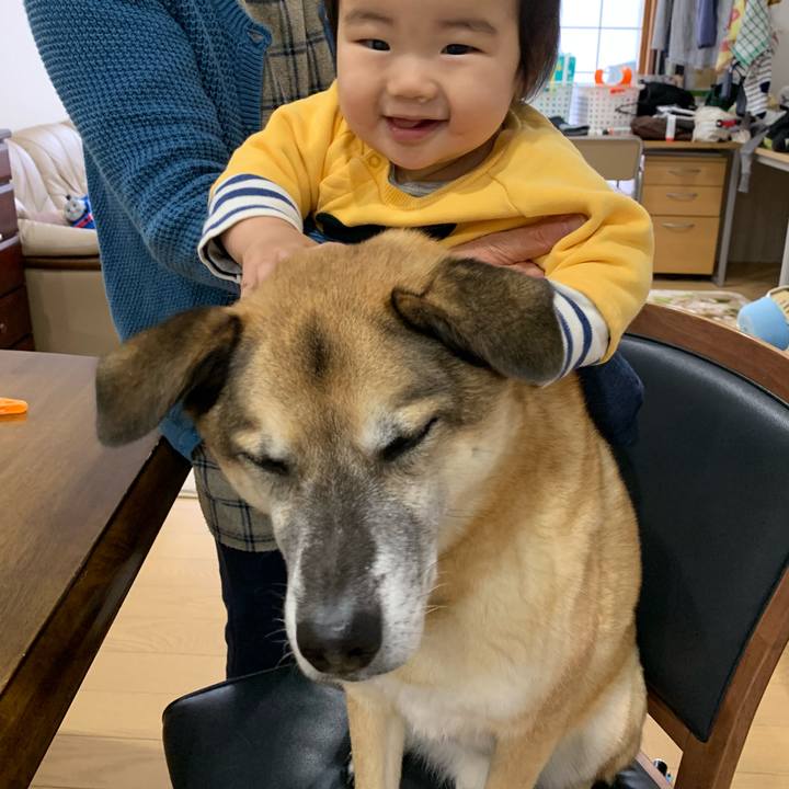 571a6f54 eee2 4d29 afa8 7f51687b5930 1544315314487