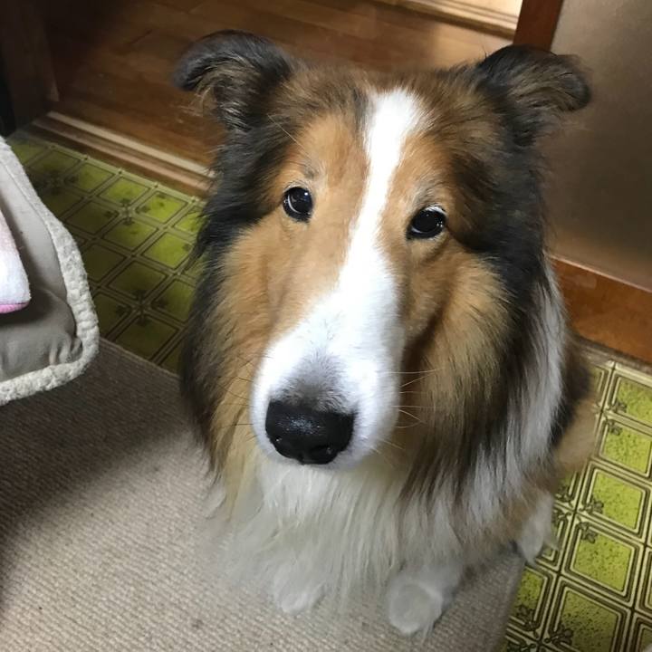 571aa9d3 60e9 418b a0d3 9c7f1af445de 1507697972008