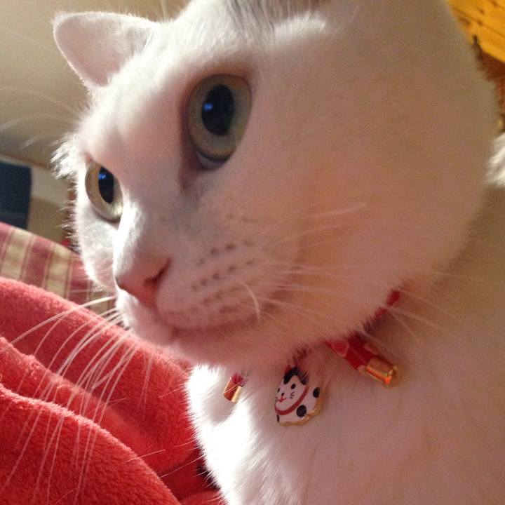 571ad0d1 b1fa 47b4 ab68 87858cae2a59 1545825714923