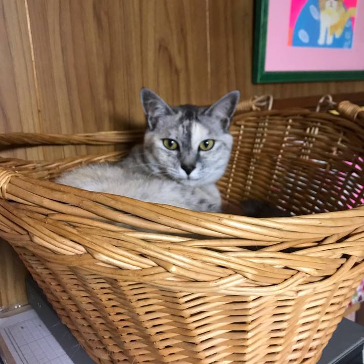 571ad8da 6dfe 42f3 9660 39dc7c2db2c5 1595326600701