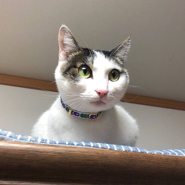 571b0437 806e 4e60 95e1 61e7042cdd90 1673950563227