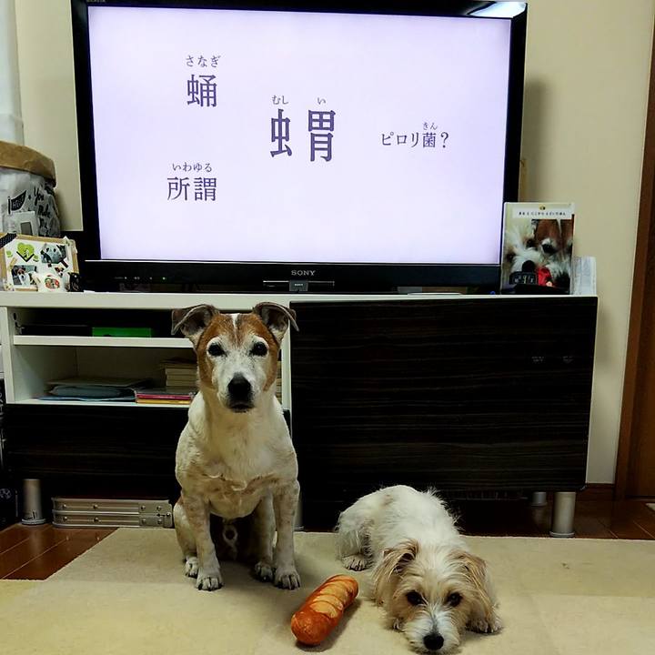 571b0d4e 1cca 4c9e ab14 b06147d195c6 1554242882350