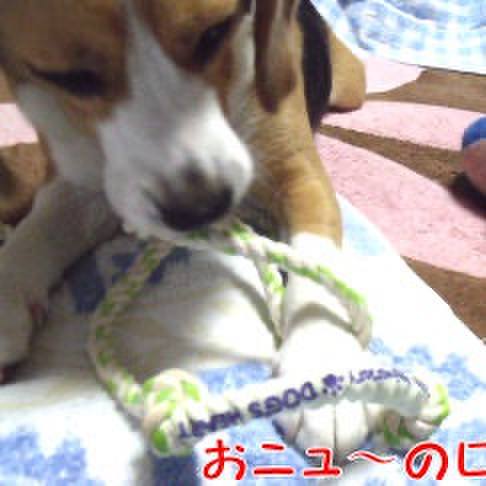 571b6f4e b899 4481 8f0a fc6e8a34ab38 1714608776987