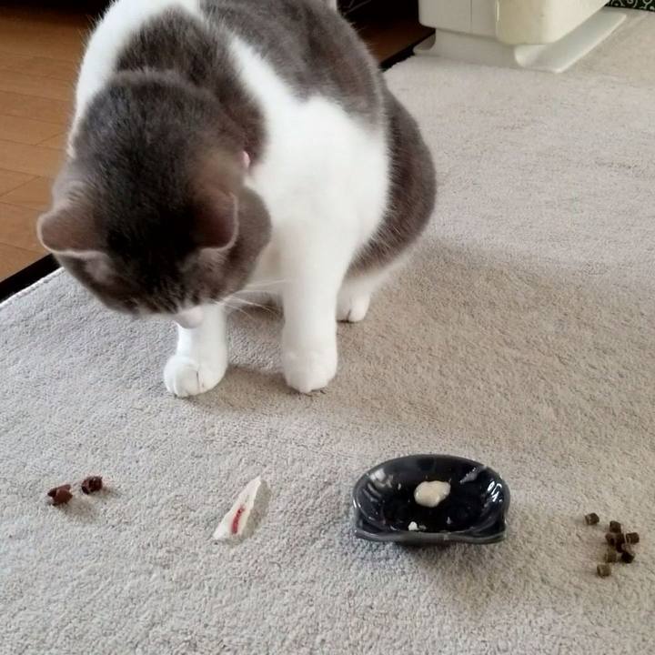 571b7491 30bb 45fe 840d 6e86b4e49e83 1563513842994