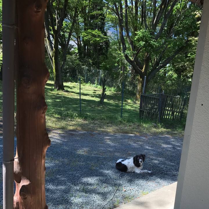 571b933c fd06 4b51 ac52 f1404c51f923 1524964236023