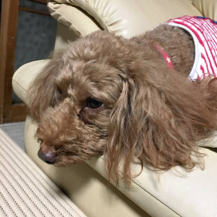 571ba75c 6654 4dad 8032 d5464539fbb1 1534504302008