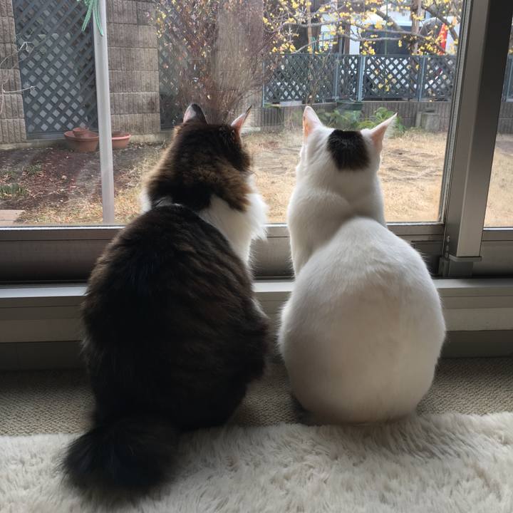 571bbfa3 aaf4 40cb 9940 3951a5b687bc 1517709747335