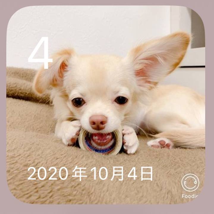 571bd245 9a67 4418 9f30 01c9c1804b59 1759587105002