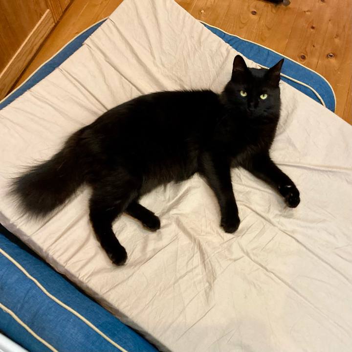 571bda55 9394 411f 9b32 1983898dee2f 1747133844685