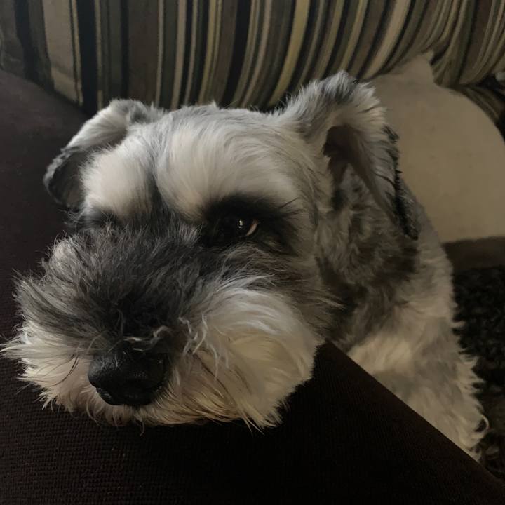 571bf31c a8f0 4232 8ad1 93752d03acc0 1599640508488