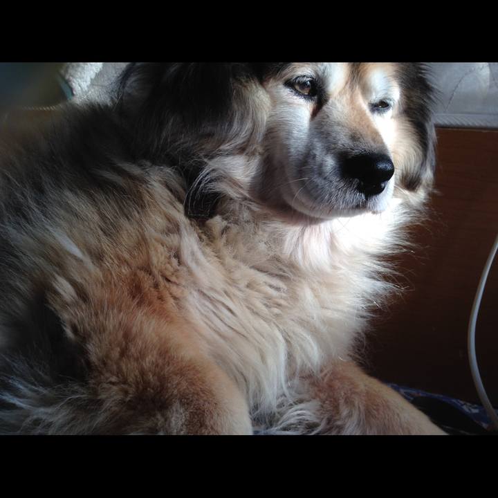 571bf39c 498c 4156 a4e2 991f3092456b 1638676740106