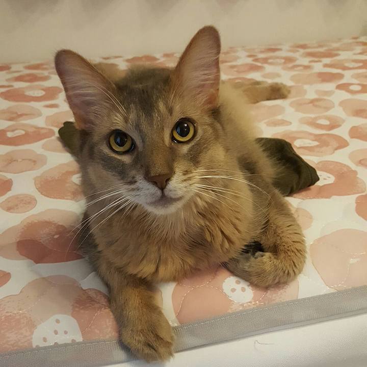 571bfd3b c9fa 4620 bb8e 8522d4d21371 1565002300996