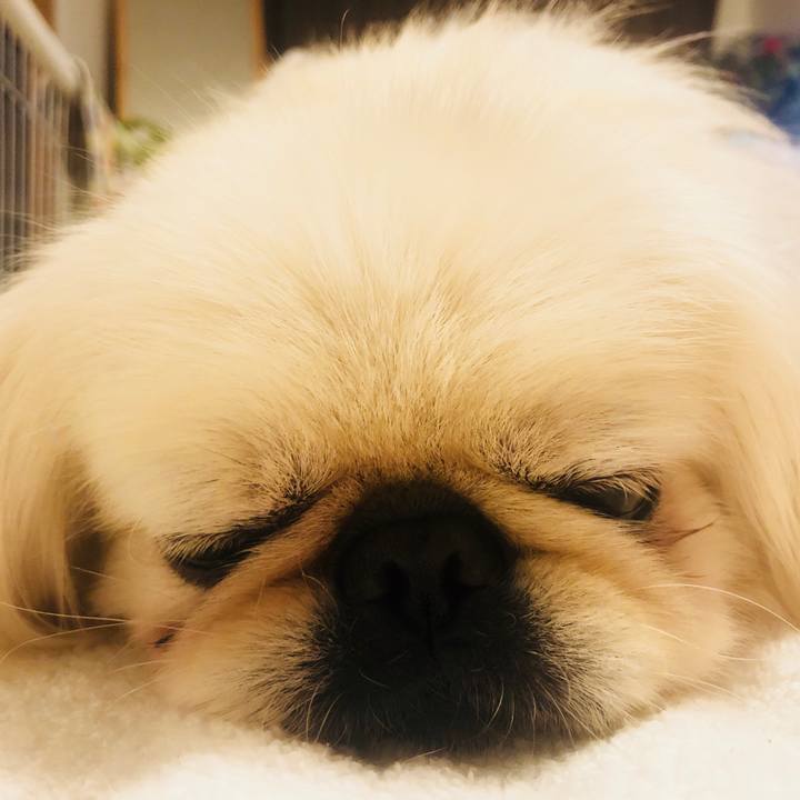 571c1cc7 30bf 42ca bcea 21eaafda55a7 1565270550055