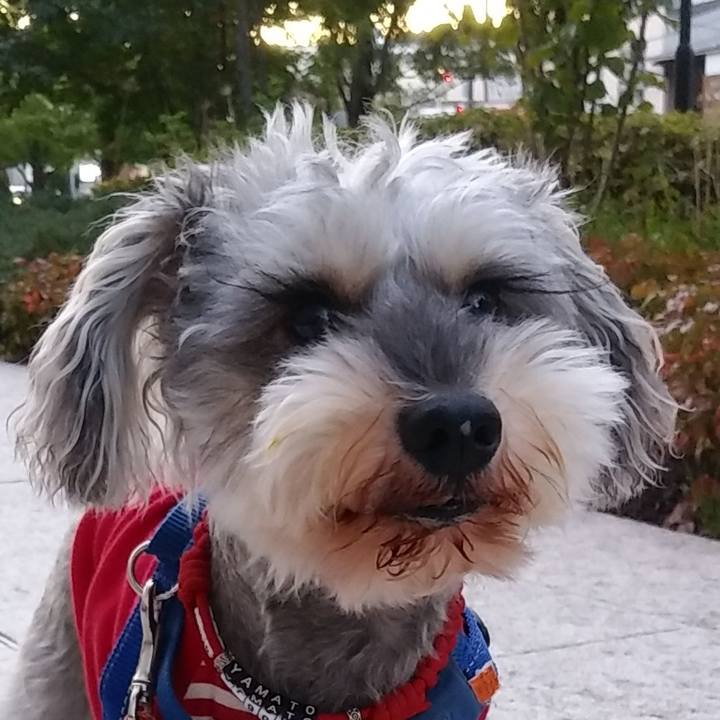 571c3a0b 48bc 4b1e 9275 92db119cdce0 1667515173241