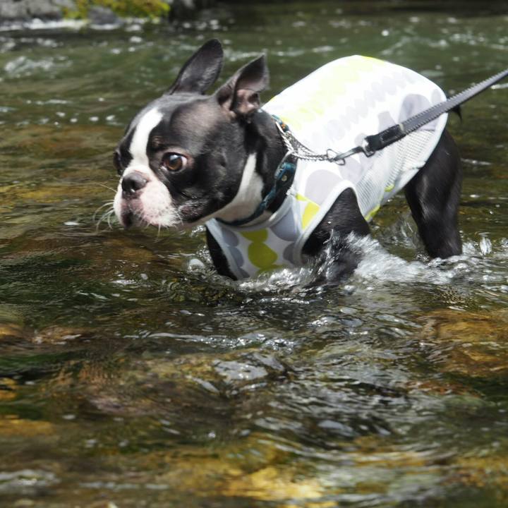 571c5bb2 1211 4a36 8a63 3fcaaf03f8a4 1528523164807