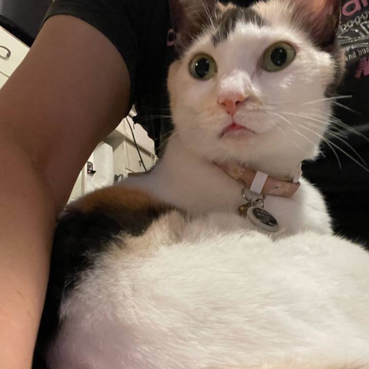 571c9469 6f46 426d 93bf 1d2e2edfbae9 1760798757086