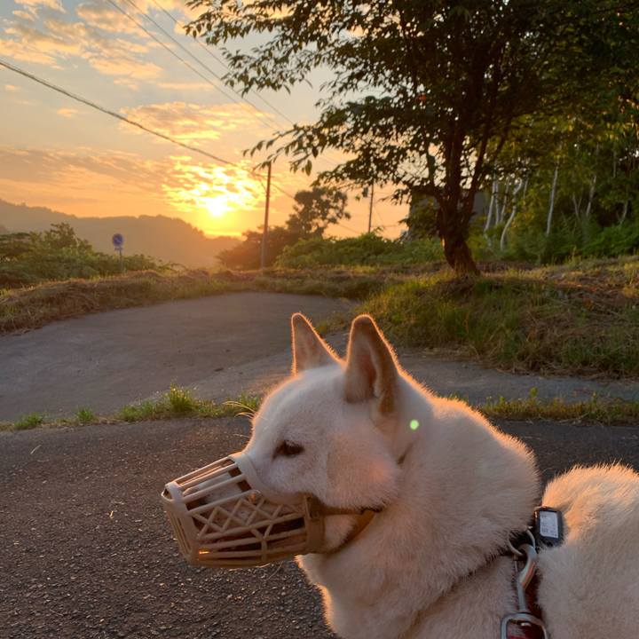 571caae5 7a1d 439b b1de 7fed1d95370d 1596054837435