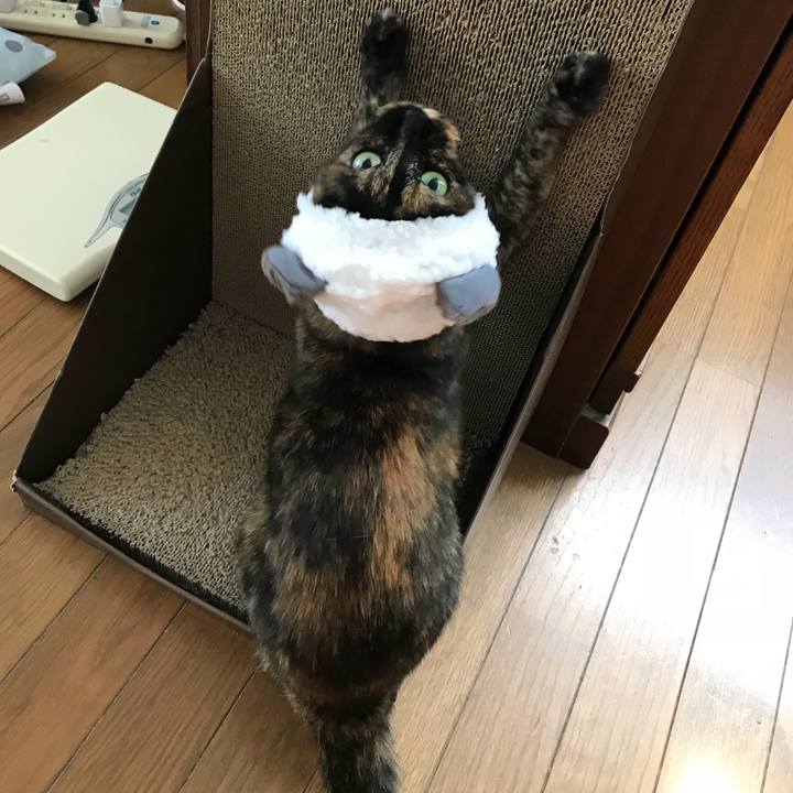 571caef6 db6d 4800 b543 cfc1baa06b5d 1533967131932