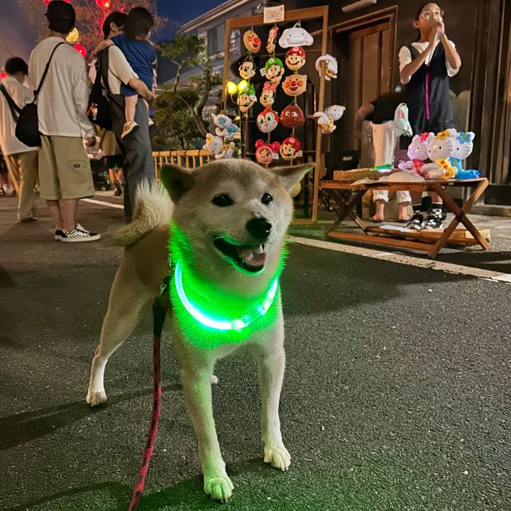 571cf545 a5a2 40a7 be91 316e522c00b4 1752926055595