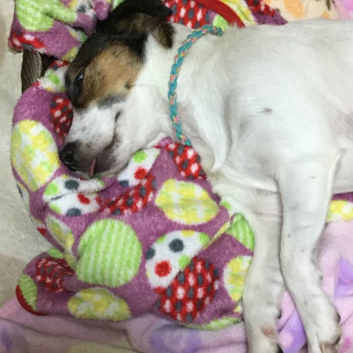 571cfbf8 62b1 44c3 baf3 c45f694b199b 1509102446184