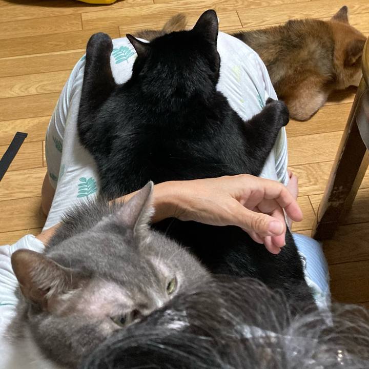 571d067d 71e4 4f74 9f5c e71c753f1da8 1757763932645