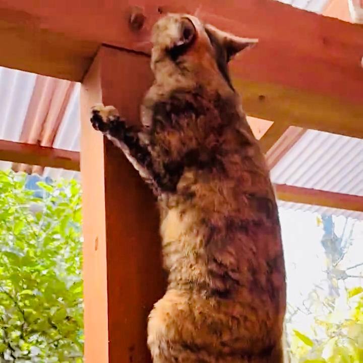 571d3bd1 6978 41a2 aedc f4d77ca3cc6f 1761033855257