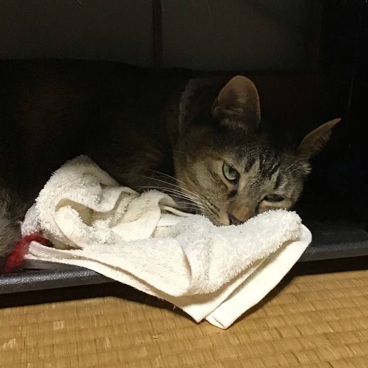 571d878c 07ea 460d ab07 cdb93a4b5e44 1655984219858