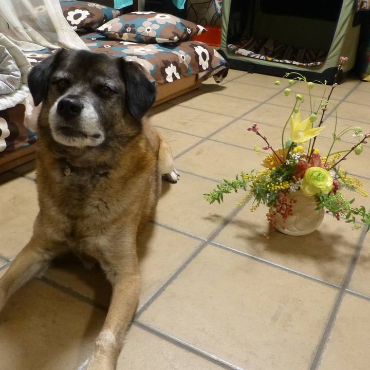 571d8cdd ed5c 4526 8ba4 6ba57a7f2010 1581298446596