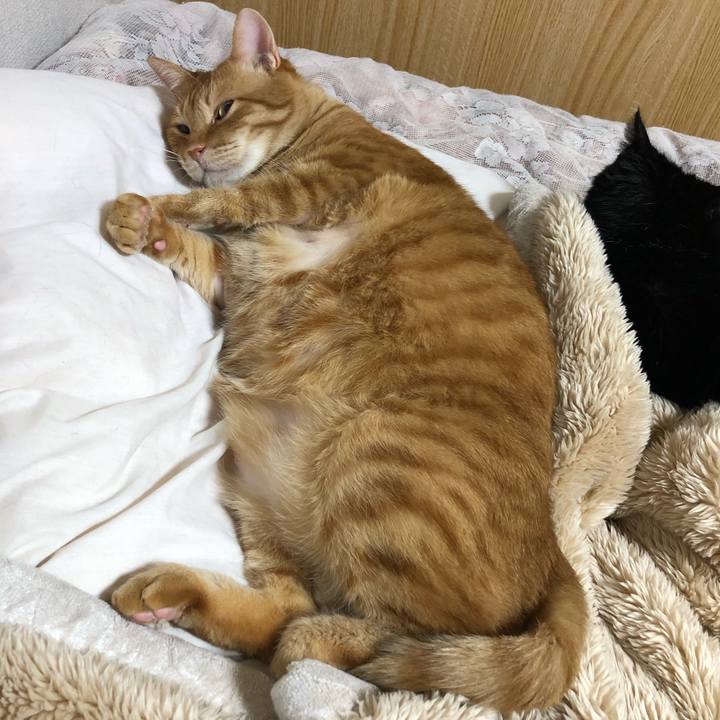 571d9f92 5759 4068 ba08 3c2e74e8f0a1 1610619899056