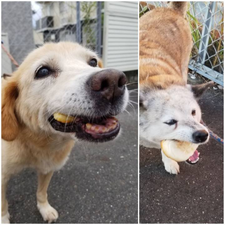 571dc2e5 6a8a 4a48 a3fa 0f3731b24543 1753789868215