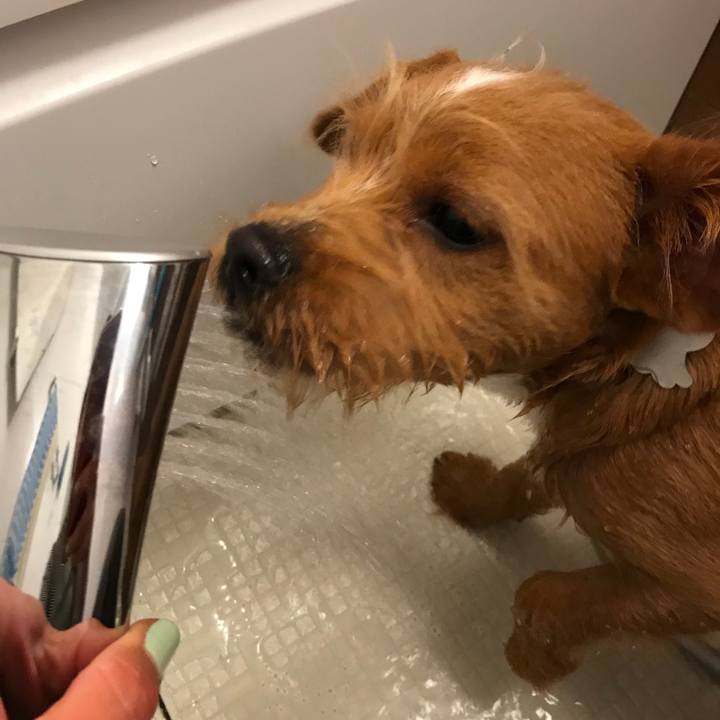 571dceb7 c3c6 43a2 a7e2 f469a386b337 1525775056583