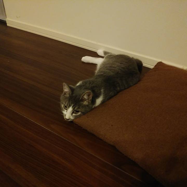 571df2ce 647a 4d2c 898f 1ff6d6757213 1570200001849