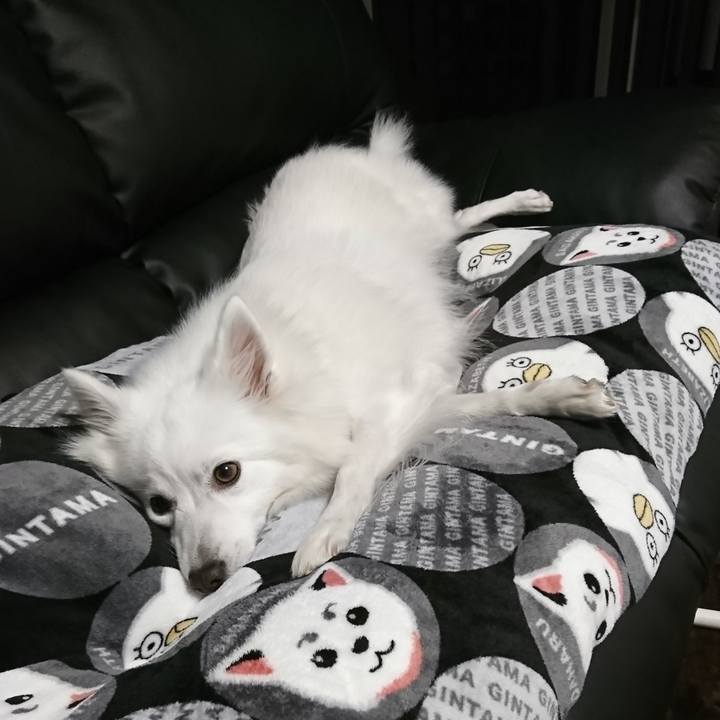 571e2bb8 54ec 47f8 a9a9 07a32b045174 1545050240796