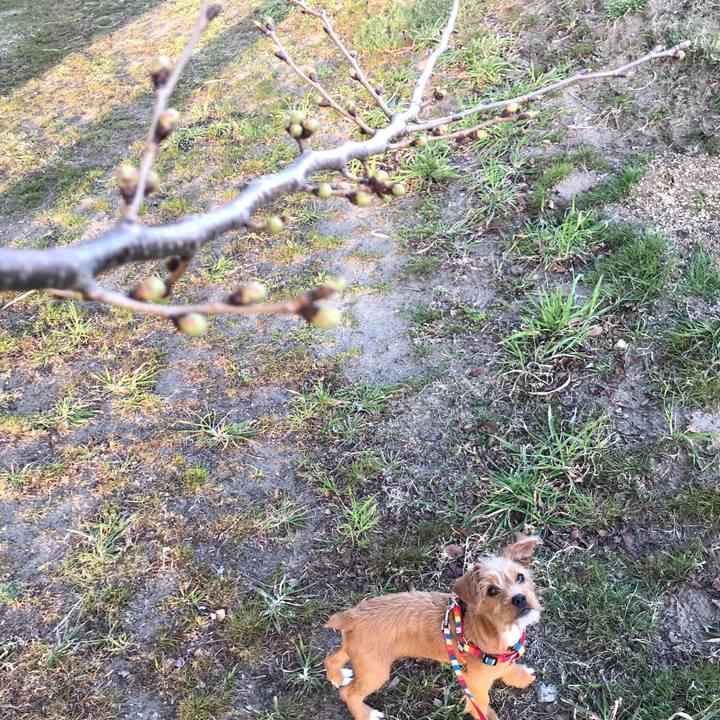 571e7d17 a82f 4f1d 9a3d 6032311c5f7d 1522062290348