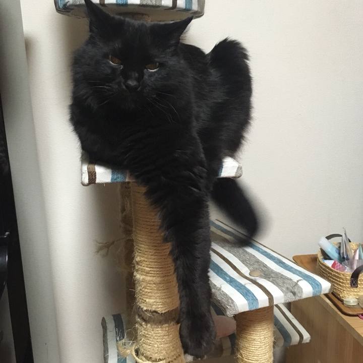 571eab75 e2db 410b 8760 74c18b1f570e 1525007772561