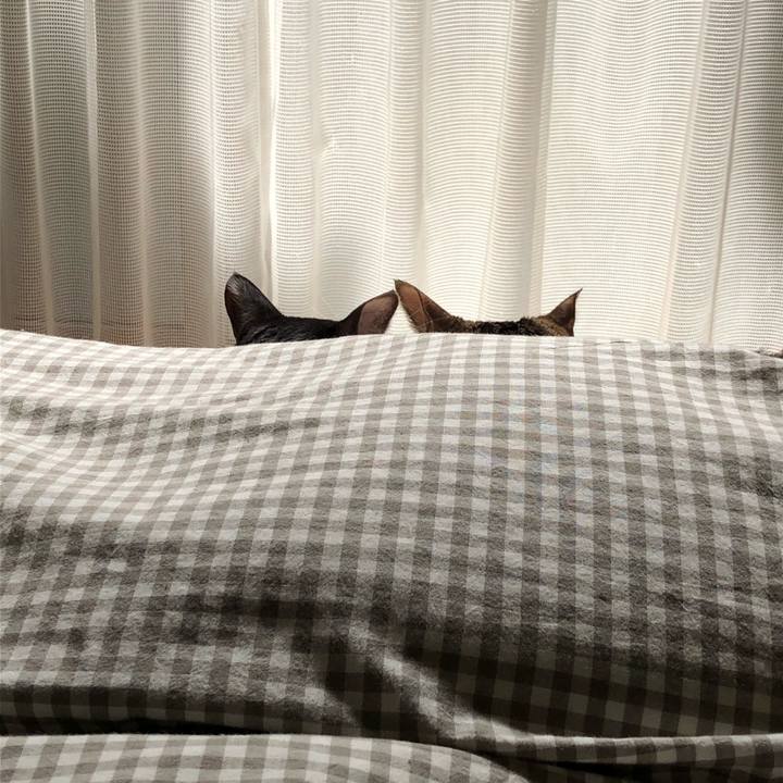 571ed1f4 94e3 420d 98af 8be9af5df8a7 1552021974038