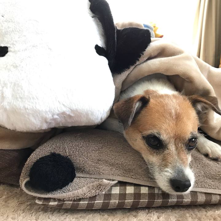 571ee30d 2109 4905 af61 225a33f38439 1557534043411