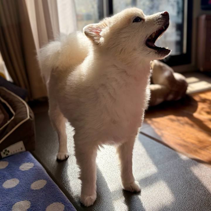 571f101c db44 4ae3 9188 852b3f758290 1764075594709