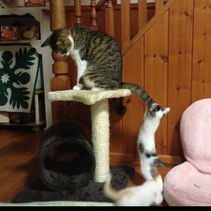 571f1080 147e 4673 86ba 4c7125f14aa0 1528990608515