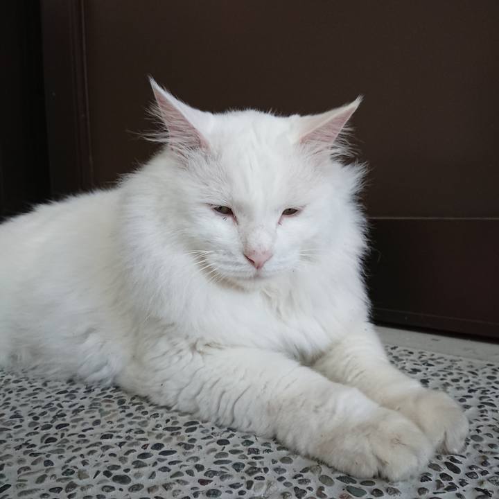 571f3560 55cb 4e73 b1f4 252c79174afc 1565303233726