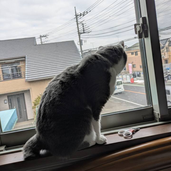 571f4db3 d8cf 4bb1 b794 b3d75e62f5c3 1771551677647