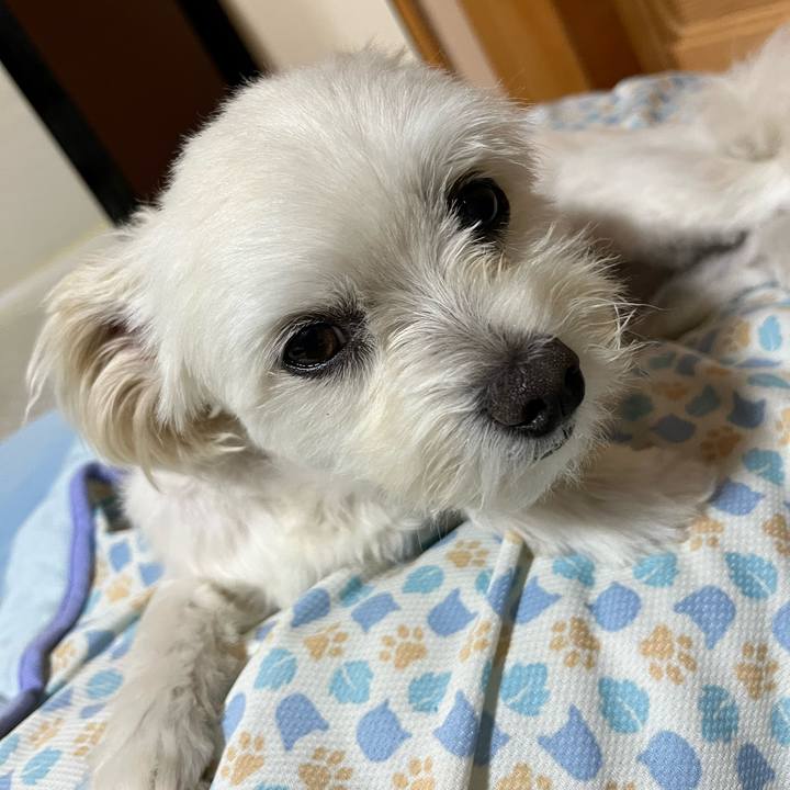 571f87b8 af42 4852 9424 a36117ac1890 1657023077014