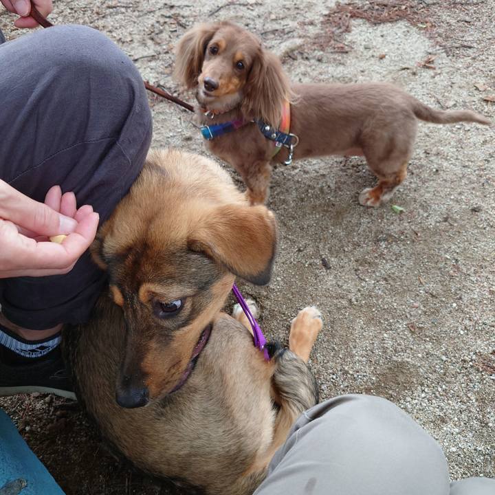 571f9ef5 e599 47ce b909 948adba195c7 1686786630771