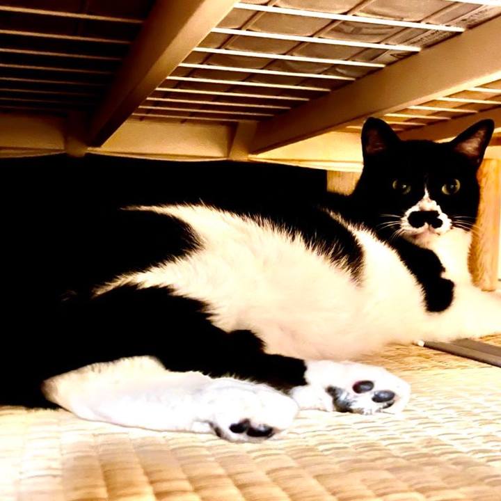 571fd9cb 59d8 4c7c 8d8e 7d96ab0d8dc7 1682090025019