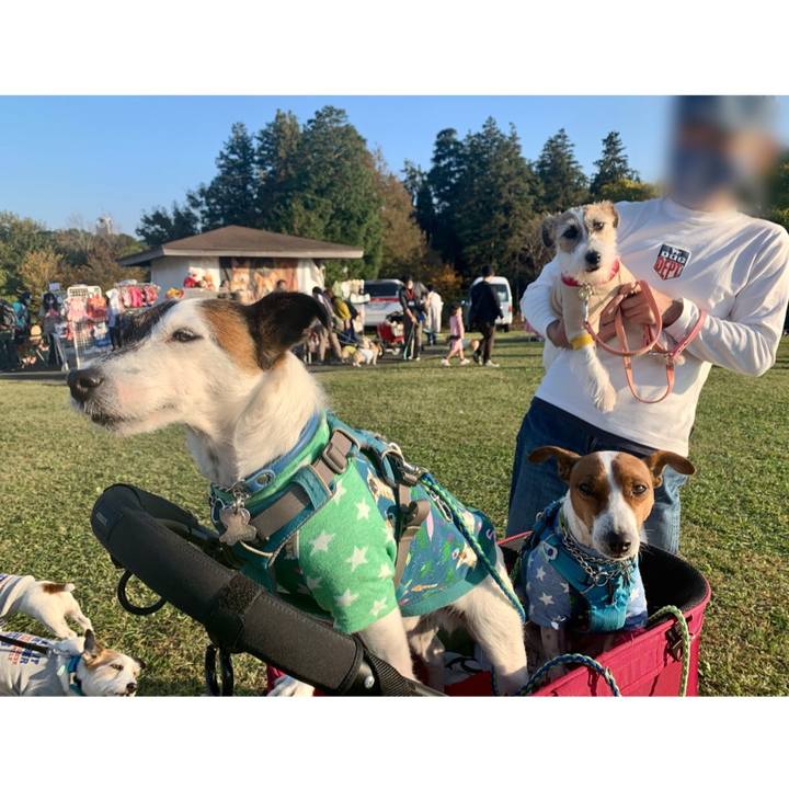 571ff4cd 828d 47cc a278 0a15375e6b55 1605471525890