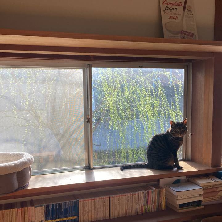 571ff755 1849 49f8 b077 053402052806 1678496906857