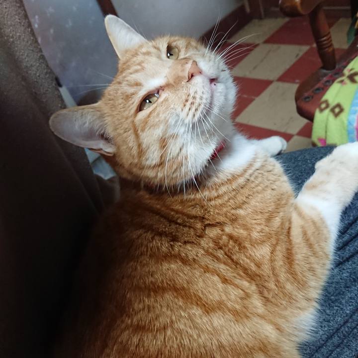 571ffbbf 18d8 400c 9661 5f6d59937491 1578009329367