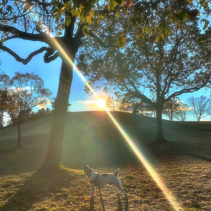 57200793 92dc 48a4 87a7 ec02405cf4e8 1554123536718